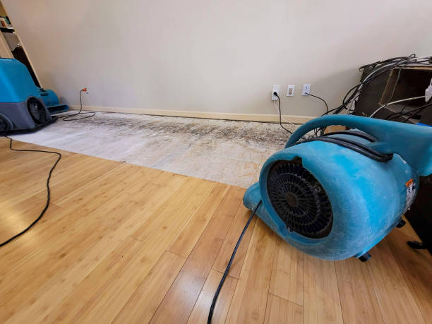 Professional Flood Damage Cleanup technician working in Malverne, NY